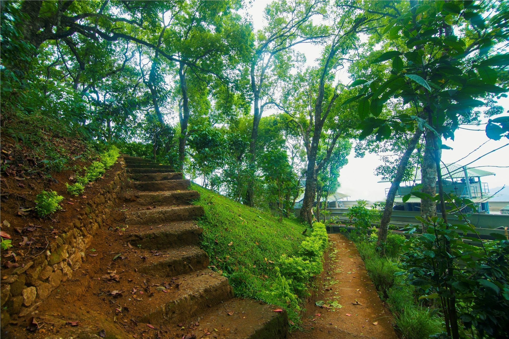 Forest Glade Resorts Chithirapuram エクステリア 写真