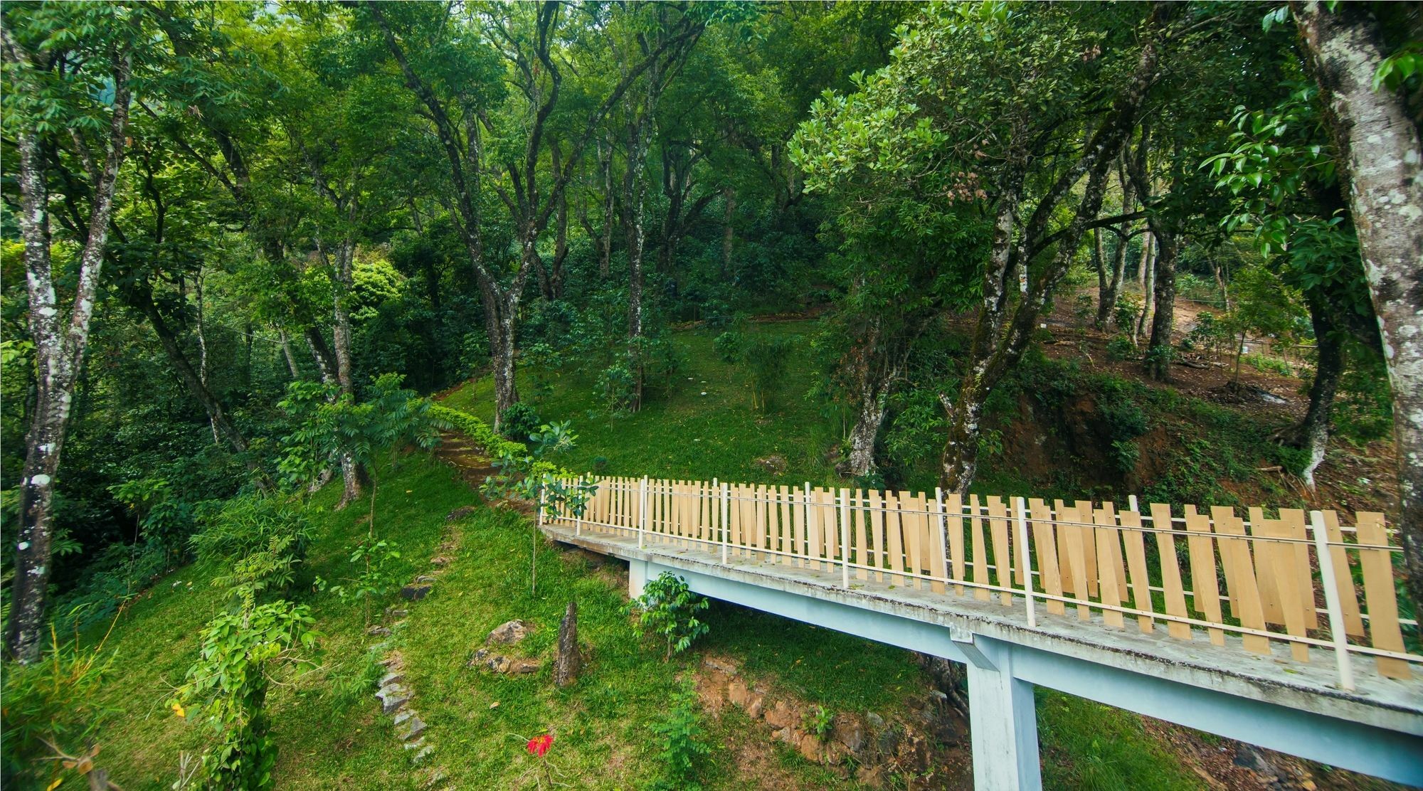 Forest Glade Resorts Chithirapuram エクステリア 写真